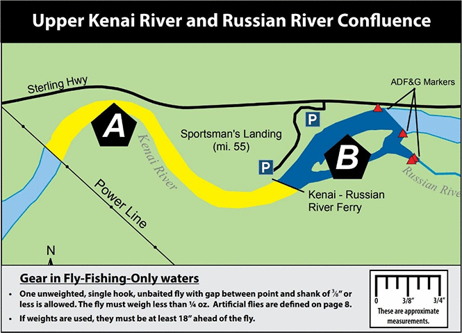 Russian River Sanctuary Opens Early for Sport Fishing